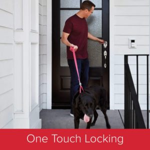 71ddJ-817CL._AC_SL1500_ 71ddJ-817CL._AC_SL1500_